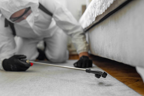 Professional Termite Control technician working in Riverside, AL