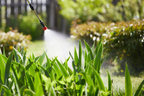 24/7 Emergency Termite Control experts in Riverside, AL